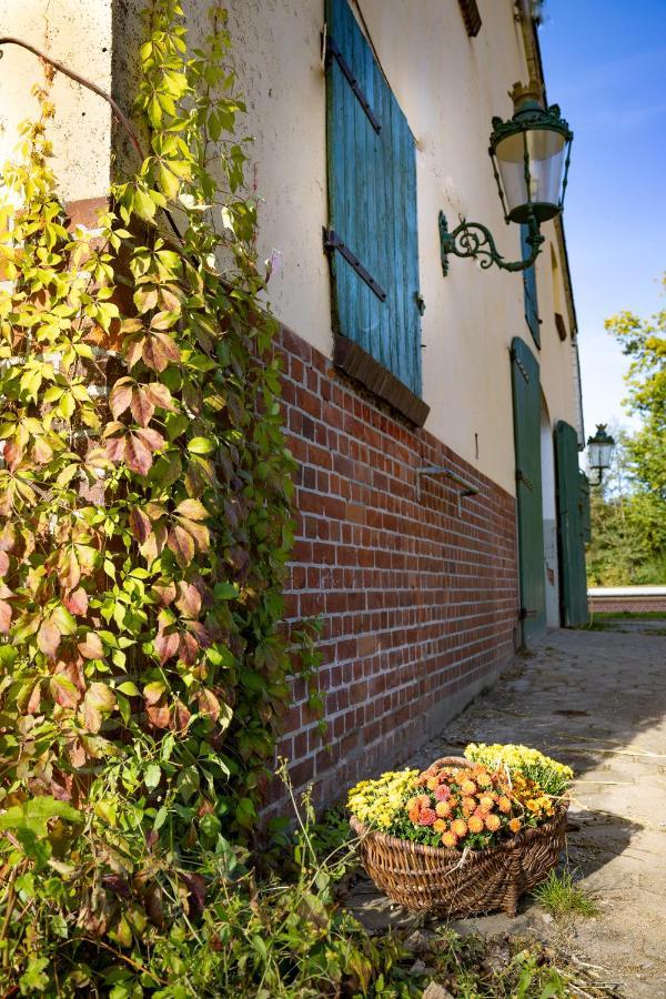 Fewo Mit Pferdeboxen, Paddock Und Weide In Der Lueneburger Heide Apartment Vierhofen Exterior photo